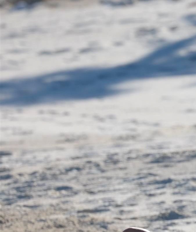 Kylie Jenner pudo disfrutar de una playa privada.