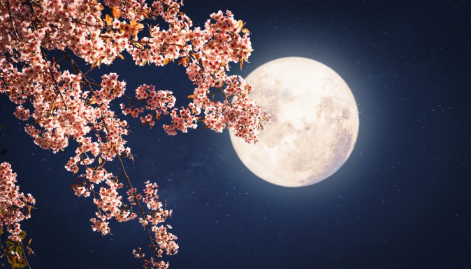 Luna de flores