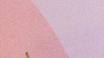 Marimar Vega y Horacio Pancheri.