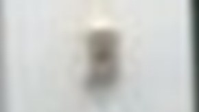 DHS reafirma que migrante detenido en Nueva York y deportado a El Salvador pertenece al Tren de Aragua