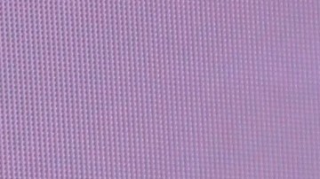 Migbelis Castellanos.