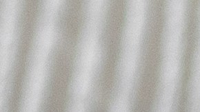 La moringa es rica en vitamina y antioxidantes.