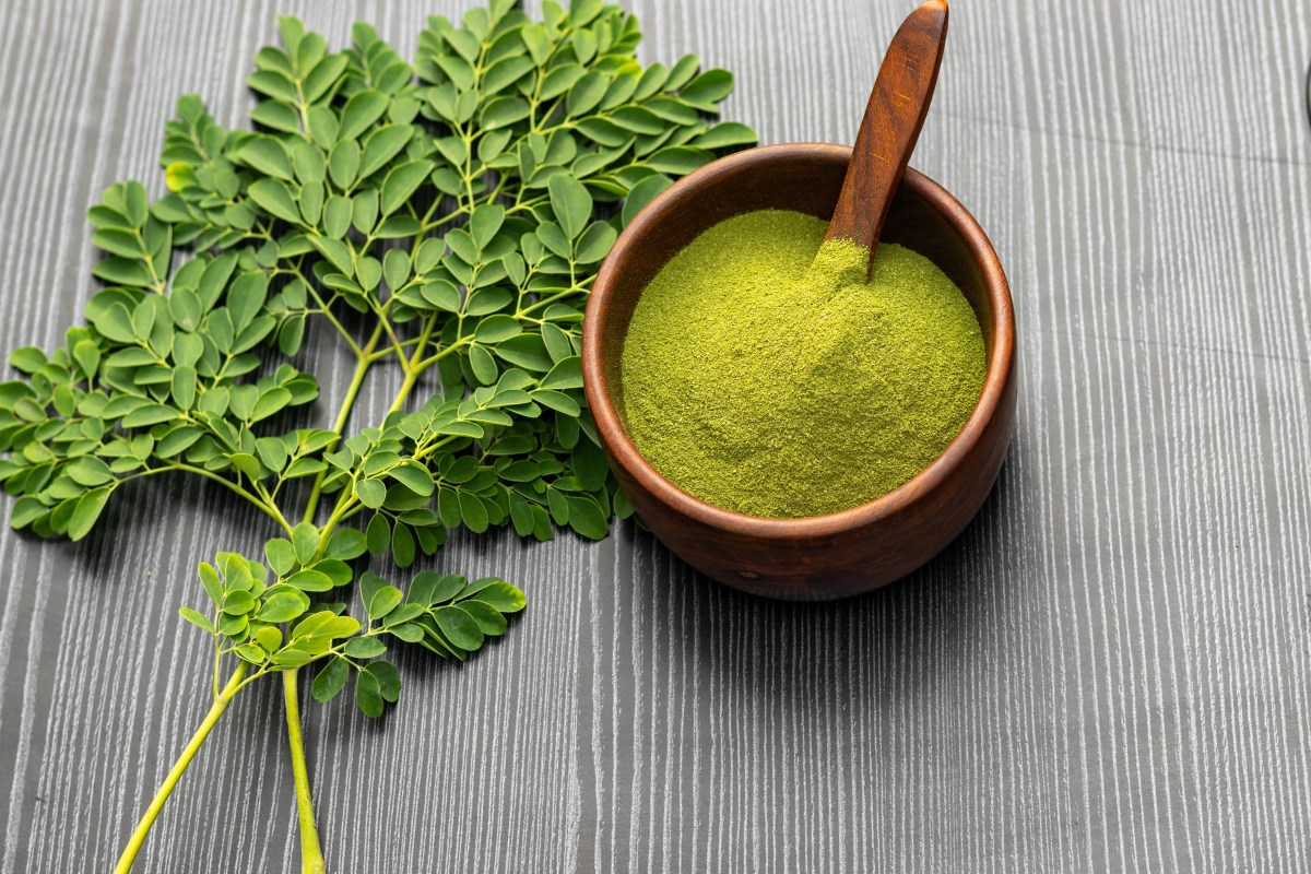 Moringa: Un poderoso detox natural para tu hígado e intestino