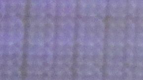 Nate Díaz y Conor McGregor.