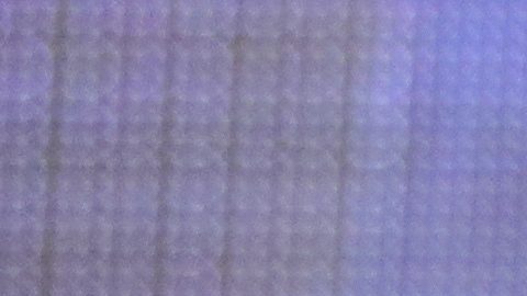 Nate Díaz y Conor McGregor.