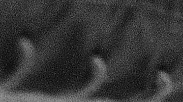 Pete Rose, leyenda de los Cincinnati Reds y de la MLB.