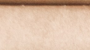 PennRose Farms envasó pepinos producidos por Bedner Growers retirados del mercado por riesgo de contaminación por salmonela.