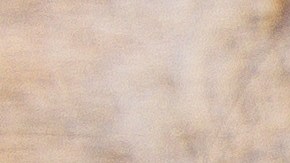 Los pepinos fueron distribuidos en 15 estados del país.