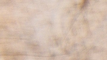 Los pepinos fueron distribuidos en 15 estados del país.