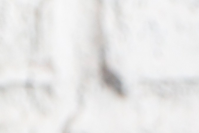 El perejil es un ingrediente en jugos depurativos por su poder antioxidante y diurético.