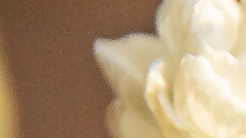 Flores para mamá