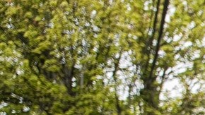 Testigo relata cómo agentes de ICE detuvieron a Ras Baraka, alcalde de Newark