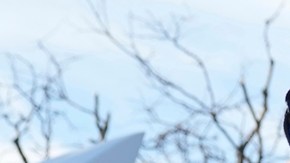 Arrestaron al alcalde de Newark durante visita a un centro de detención de ICE