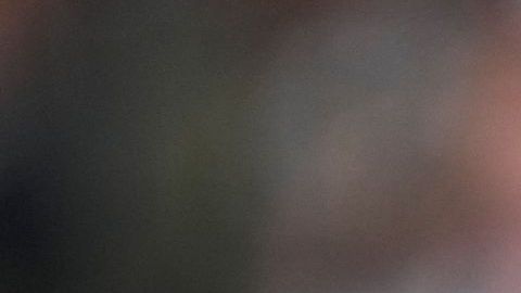 El actor criticó duramente las políticas de Donald Trump y calificó el arancel del 100% a productos extranjeros como una amenaza para la diversidad y el arte global.