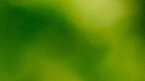 Sácale el mayor provecho a las salchichas con consejos prácticos.