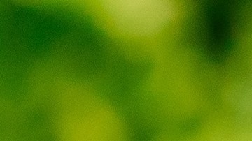 Sácale el mayor provecho a las salchichas con consejos prácticos.