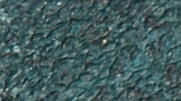 Las semillas de calabaza fueron distribuidas a tiendas minoristas en tres estados del país.