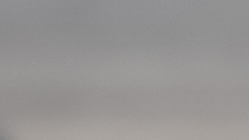 Los snacks de pollo fueron producidos en instalaciones que no fueron autorizadas por al USDA.