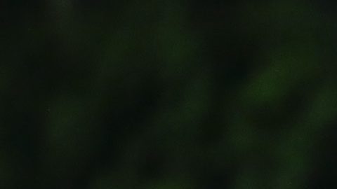 Imagen referencial fútbol femenino.