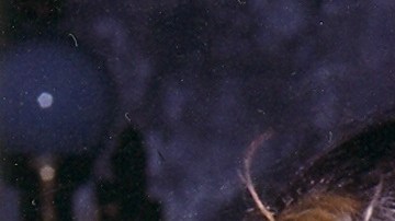 Thalía y su mamá en 1991.