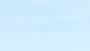 Gobierno de Trump no está satisfecho con número de migrantes detenidos: aumentó operativos