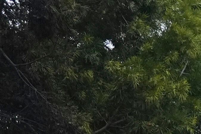 El siniestro de la avioneta arrastró e incendió varios vehículos, afectando también aproximadamente 15 casas.