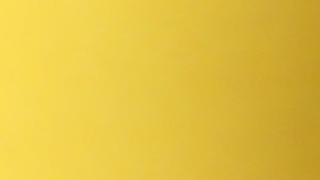 Hay algunos alimentos que debemos evitar para preservar la salud de los riñones.