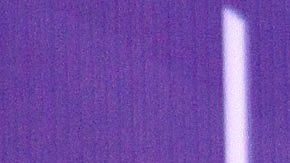 Ana Brenda está viviendo una etapa llena de amor y ternura rodeada no solo de su familia humana, sino también de sus leales compañeras de cuatro patas.