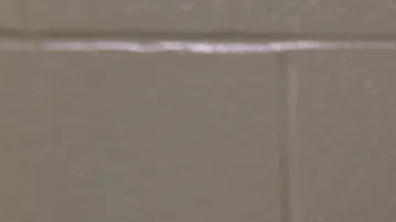 El sospechoso tenía visa de trbajo vencida y era migrante irregular.