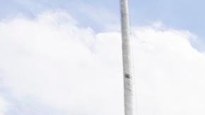 Partidarios de la ciudadanía por nacimiento se congregan frente a la Corte Suprema, donde los jueces superiores escuchan una impugnación de la Administración Trump a la disposición constitucional en Washington, D.C., EE. UU., el 15 de mayo de 2025.