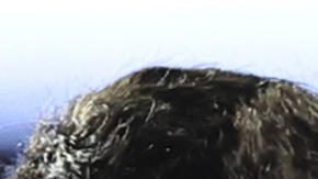 Damián Bobadilla (i) de Sao Paulo discute con Miguel Navarro (c) de Talleres este martes, en un partido de la fase de grupos de la Copa Libertadores.