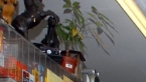 Las bodegas están en todos los rincones de la ciudad de Nueva York.