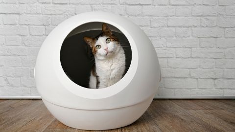 Con unas medidas de 18.9" x 21.1" x 19.7", esta caja está diseñada para gatos de entre 2.2 y 18 libras, por lo cual es muy espaciosa.