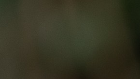 El precio puede aumentar si se conservan los accesorios originales, como las calcomanías de Apple, manuales o insertos de cartón.