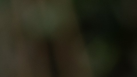 El precio puede aumentar si se conservan los accesorios originales, como las calcomanías de Apple, manuales o insertos de cartón.