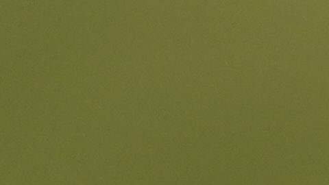 Canelo Alvarez, boxeador mexicano.