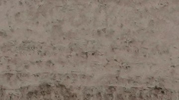 Los cardenales entregan sus teléfonos móviles, renuncian a correos electrónicos, redes sociales, televisión, periódicos y cualquier contacto con el mundo exterior, incluida la prensa.