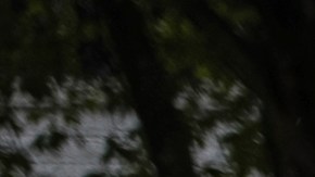 DHS advirtió a congresistas: No pueden infringir la ley con el pretexto de una supervisión