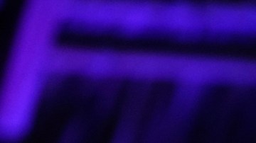 Gobierno de Trump asistirá a la investidura de Daniel Noboa en Ecuador