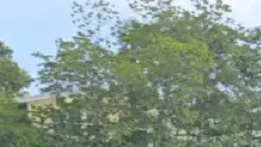 Vilkov recibió cargos de vehículo motorizado y fuga agravada.