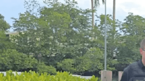 Vilkov recibió cargos de vehículo motorizado y fuga agravada.