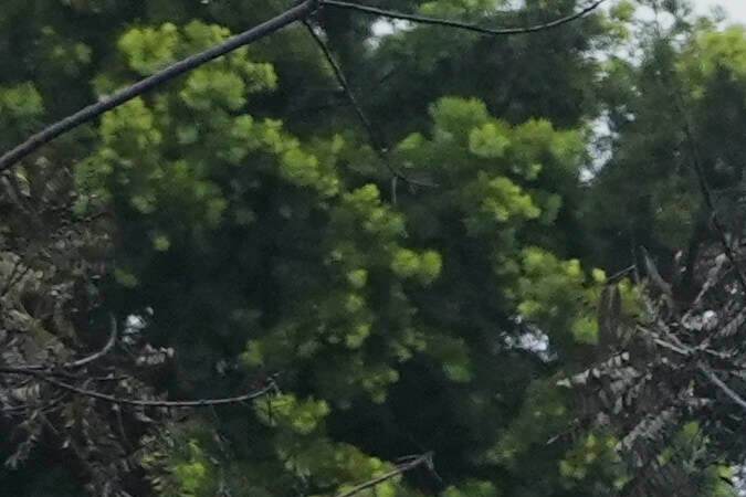 Policías investigan el área donde una camioneta fue impactada por la avioneta, causando más destrozos en una vivienda cercana.