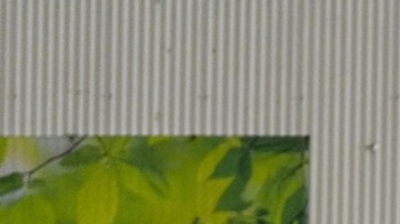 ¿Cuánto entrarán en vigor los aranceles de 50% al acero y al aluminio?