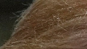 Juez frenó a Donald Trump: 5,000 venezolanos conservarán permisos legales