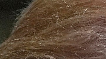 Juez frenó a Donald Trump: 5,000 venezolanos conservarán permisos legales