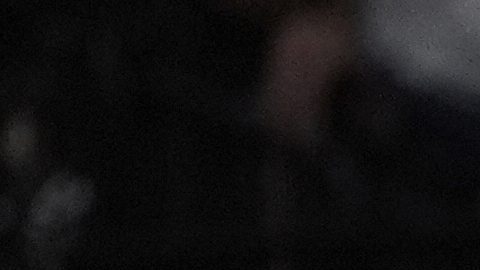 Draymond Green, jugador de los Golden State Warriors, discute con un árbitro.