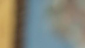 El presidente de Estados Unidos, Donald Trump, habla en la ceremonia de juramentación de Jeanine Pirro como fiscal interina de Estados Unidos para el Distrito de Columbia, en la Oficina Oval de la Casa Blanca, en Washington, D.C., EE.UU., hoy 28 de mayo de 2025.