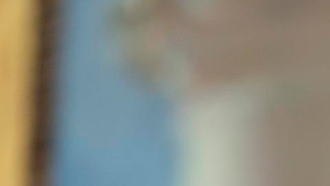 El presidente de Estados Unidos, Donald Trump, habla en la ceremonia de juramentación de Jeanine Pirro como fiscal interina de Estados Unidos para el Distrito de Columbia, en la Oficina Oval de la Casa Blanca, en Washington, D.C., EE.UU., hoy 28 de mayo de 2025.
