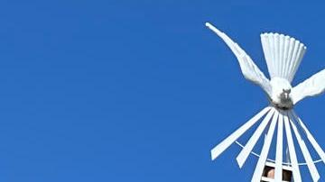 Personas rezan este sábado, frente al Santuario de la Virgen de Guadalupe en Des Plaines (Estados Unidos).