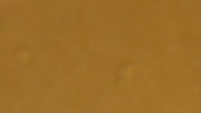 La sal, por su textura, actúa como un exfoliante natural que remueve residuos adheridos en el fregadero de la cocina.